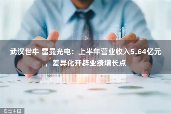 武汉世牛 雷曼光电：上半年营业收入5.64亿元，差异化开辟业绩增长点