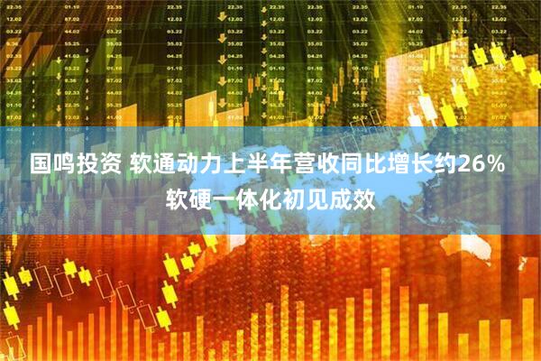 国鸣投资 软通动力上半年营收同比增长约26% 软硬一体化初见成效